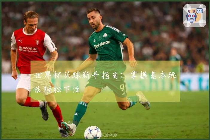 世界杯买球新手指南：掌握基本玩法轻松下注