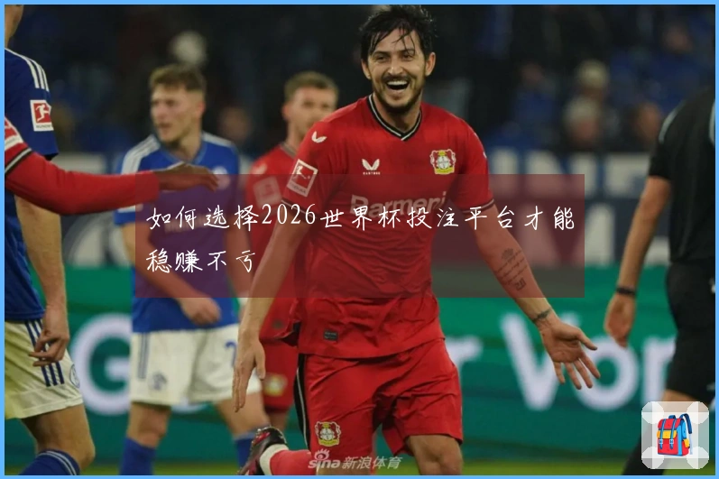 如何选择2026世界杯投注平台才能稳赚不亏