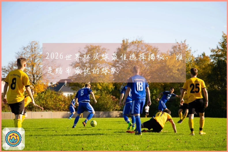 2026世界杯买球最佳选择揭秘，谁是赔率最优的球队