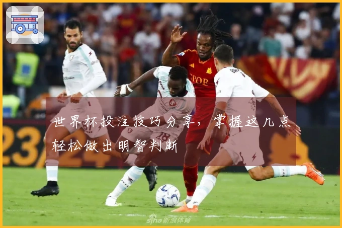 世界杯投注技巧分享，掌握这几点轻松做出明智判断