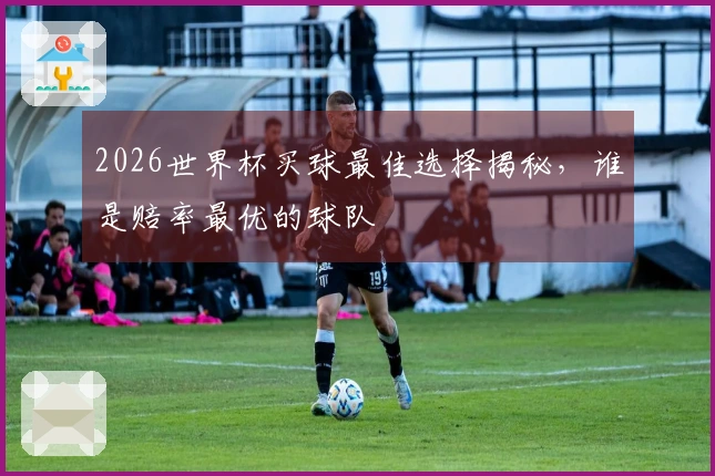 2026世界杯买球最佳选择揭秘，谁是赔率最优的球队