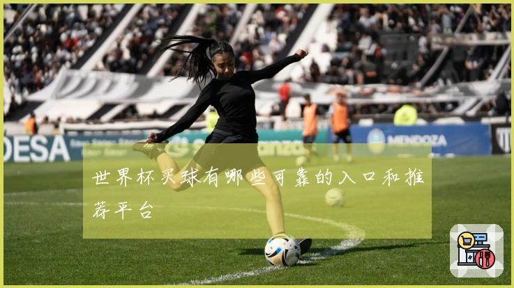 世界杯买球有哪些可靠的入口和推荐平台